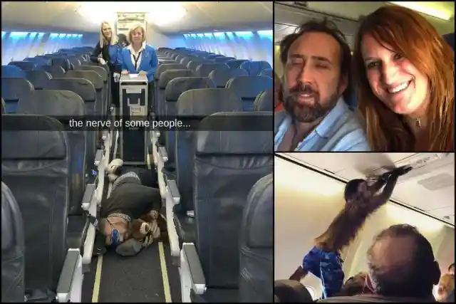 Ces passagers de l'enfer ont fait de l'avion un cauchemar
