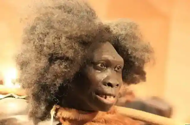 二つの種に属する存在