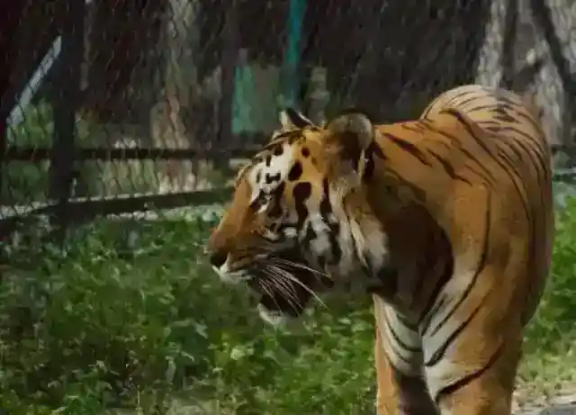 ゆっくりと近づく