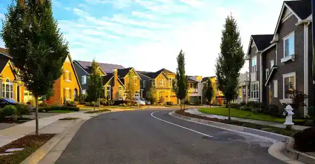 Life in a Quiet Seattle Neighborhood