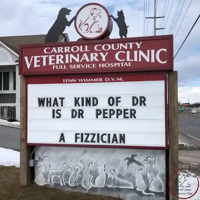 45 Signs To Make Your Pet's Vet Visit Enjoyable For Both Of You