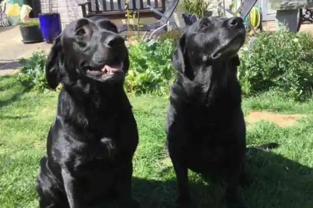  さらなるサプライズがあった