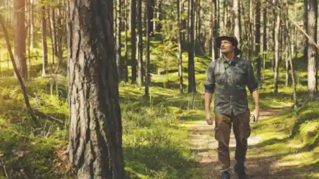 真実を見つける必要があった