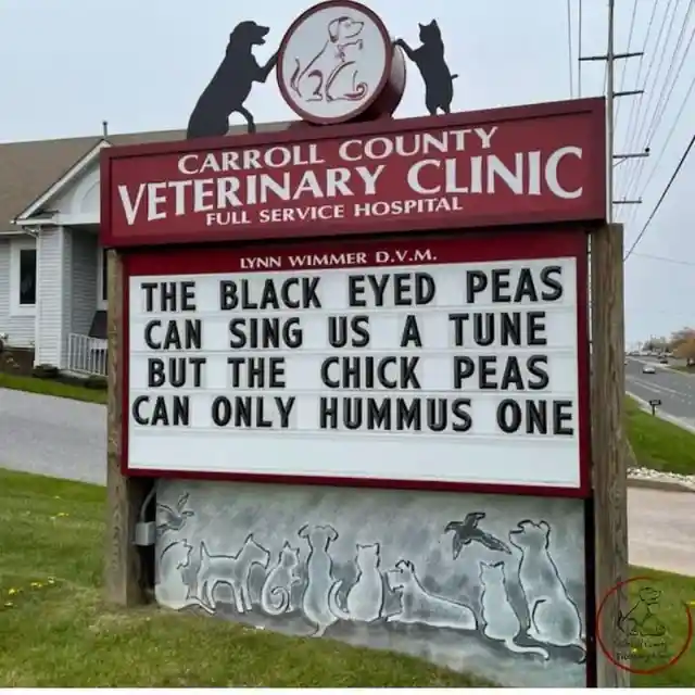 45 Signs To Make Your Pet's Vet Visit Enjoyable For Both Of You