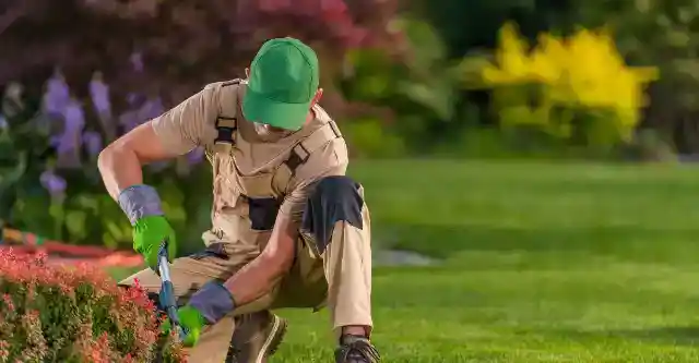 Becoming a Neighborhood Favorite