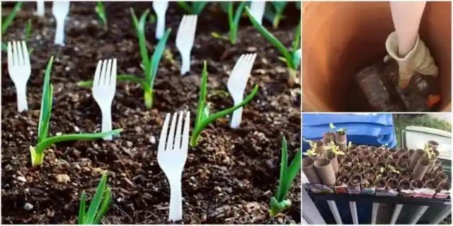 40 Genius Gardening Hacks for a Wonderful Harvest