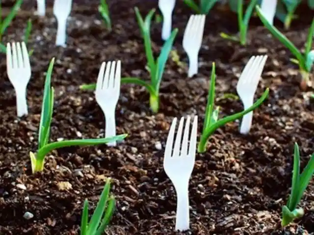 40 Genius Gardening Hacks for a Wonderful Harvest