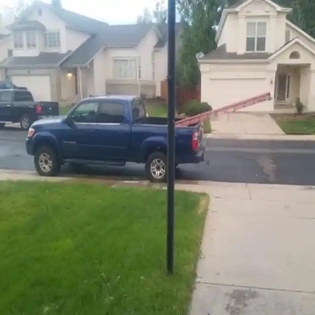 Hilarious Pictures of Things People Caught Their Neighbors Doing