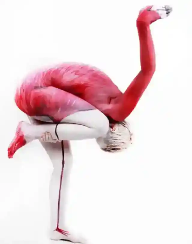 21. Flamingo in Flesh: A Fantasy in Pink