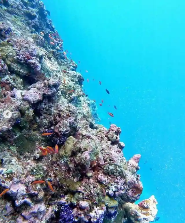 Christmas Island – Pacific Ocean