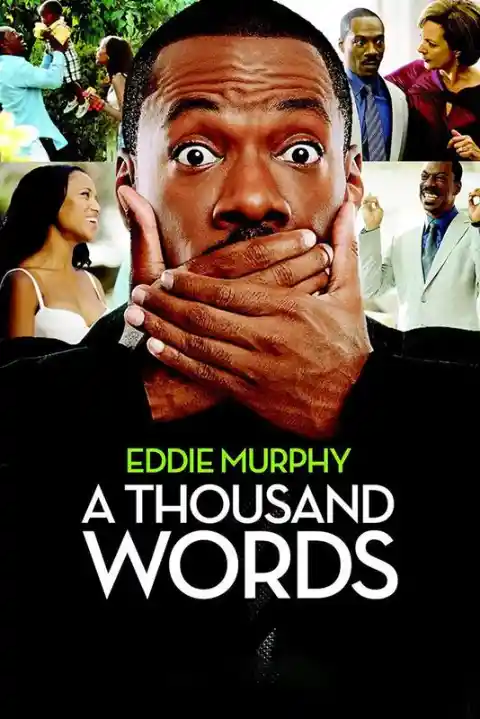 A Thousand Words (2012) – Critics Consensus 0%