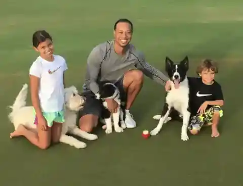 Learning How to Co-Parent