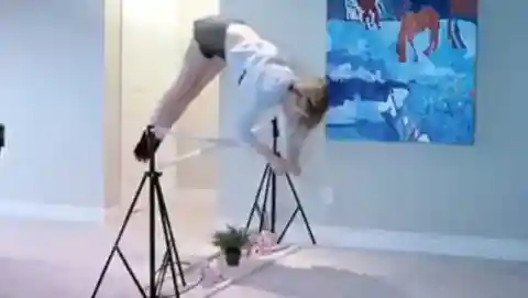 23. The Future of Equine-Inspired Movement