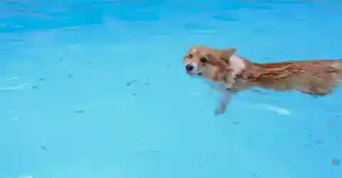 Following the Odd Behavior