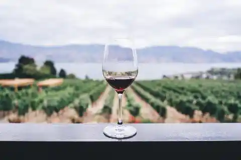 Did You Know That Georgia is Home to One of the Best Wine Havens Worldwide?