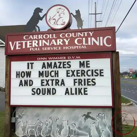 45 Signs To Make Your Pet's Vet Visit Enjoyable For Both Of You