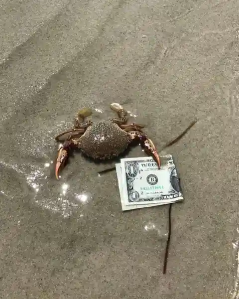 Good Old Mr. Krabs