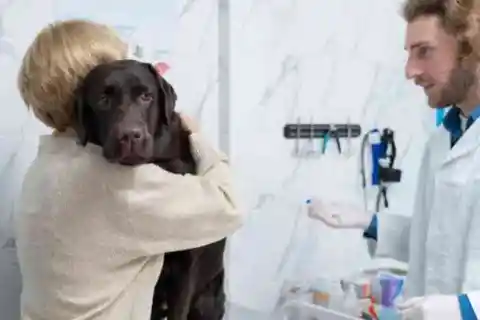 침착함을 유지하는 것이 필수적이었습니다