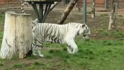 すべてが始まった場所へ