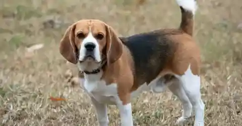 Her Eating Habits Changed