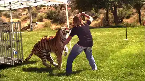 Playtime with Carly