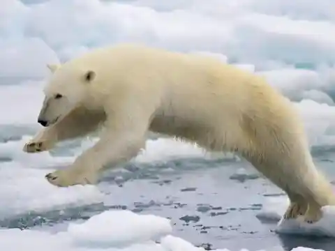 選択の余地なし