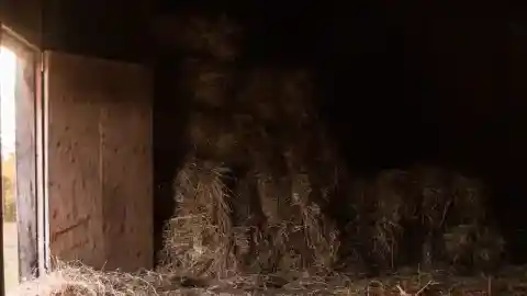 오래된 사진의 뒷면