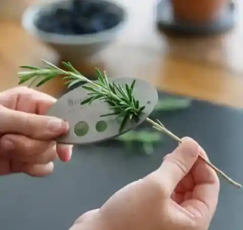 Herb Stripper