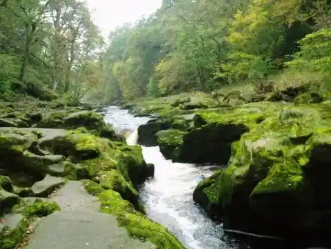 The Strid