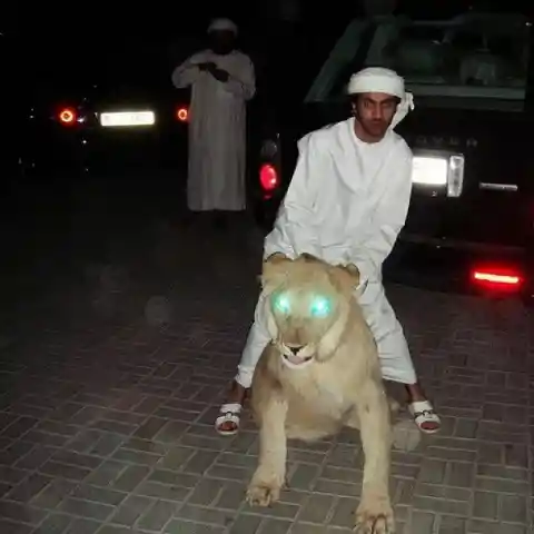 Riding A Lion?