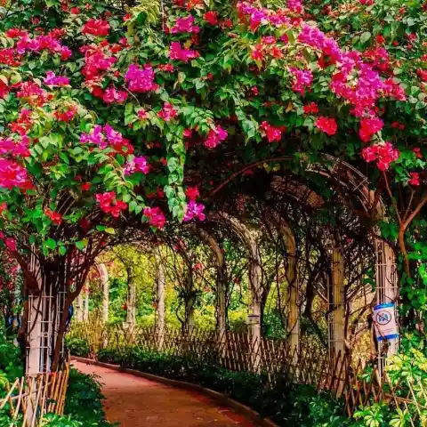 Flower Archway