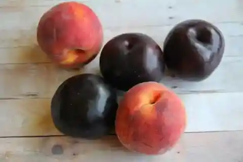 Fruits With Pits