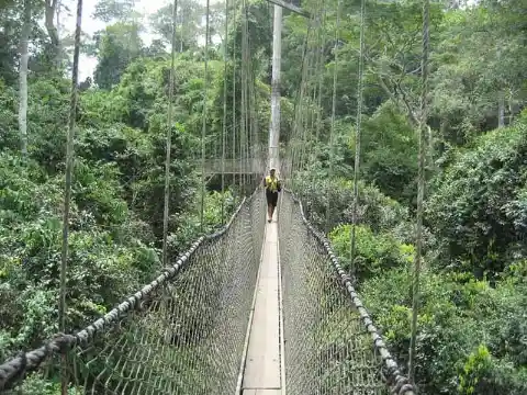 Kakum Canopy Walkway – Ghana