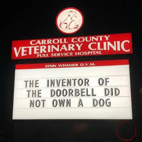 45 Signs To Make Your Pet's Vet Visit Enjoyable For Both Of You