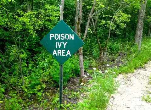 Relieve Poison Ivy