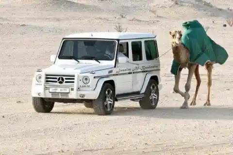 Mercedes > Camel