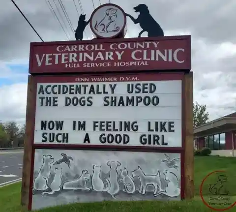 45 Signs To Make Your Pet's Vet Visit Enjoyable For Both Of You