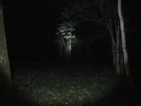 A Race Through Darkness