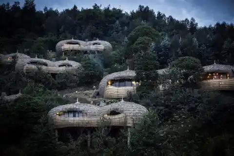 Wilderness Safaris Bisate Lodge, Rwanda