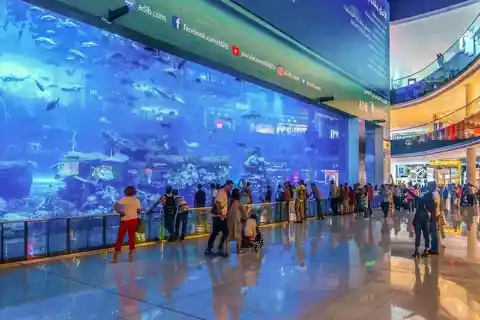 Aquarium Inside A Mall