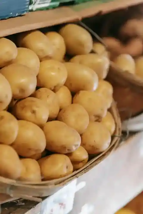 사용 가이드라인
