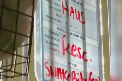 He Didn’t Back Down