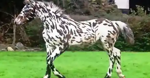 Confronting Her Fear 