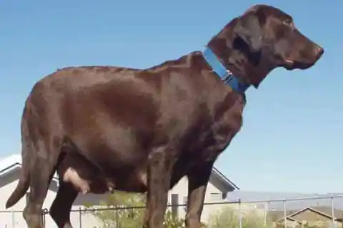 누구도 예상하지 못한 것보다 더