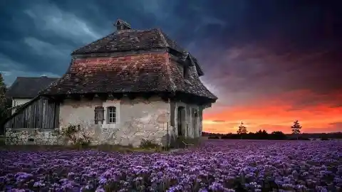 Old Farmhouse - Orpund, Canton Bern, Switzerland