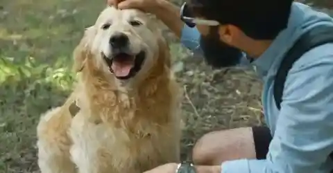 Mark’s Backyard Inspection