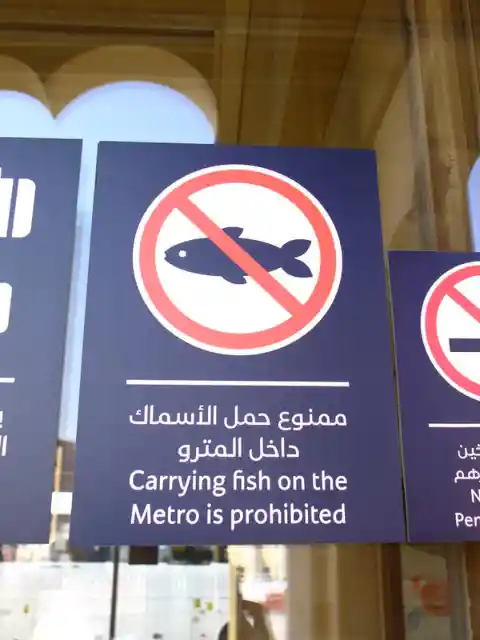 No Fish On The Train