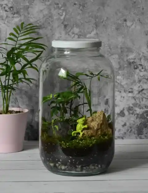 How to Make Your Very Own Ecosystem in Just 6 Simple Steps