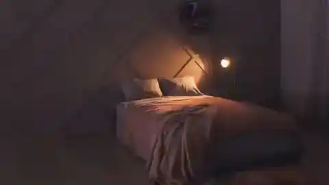 調査の準備