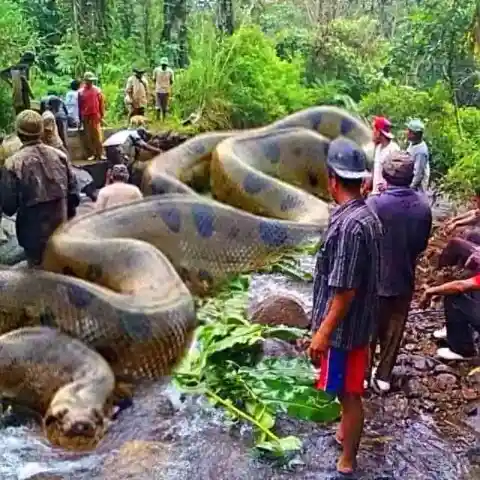 彼のキャリアで最も過酷な挑戦